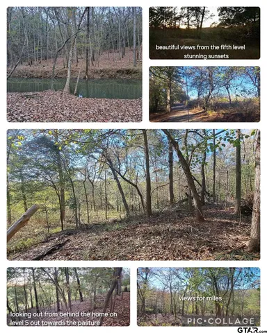 a view of swimming pool from a window