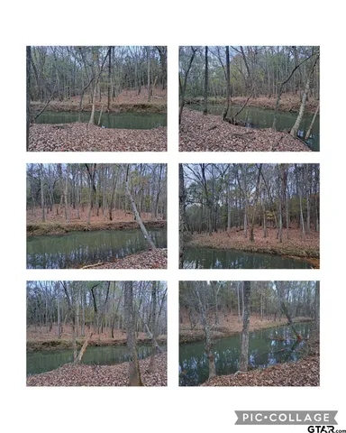 $1,495,000 | 10774 County Road 494, Tyler, TX 75706