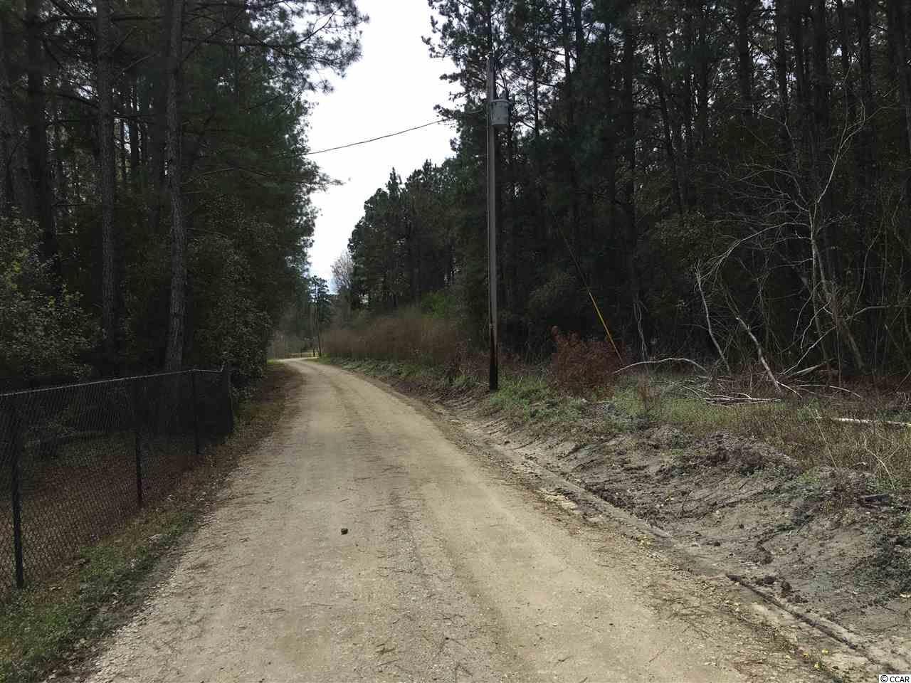 308 Parker Road Johnsonville, SC 29555 - Photo 3 of 39 Gallery Image 3