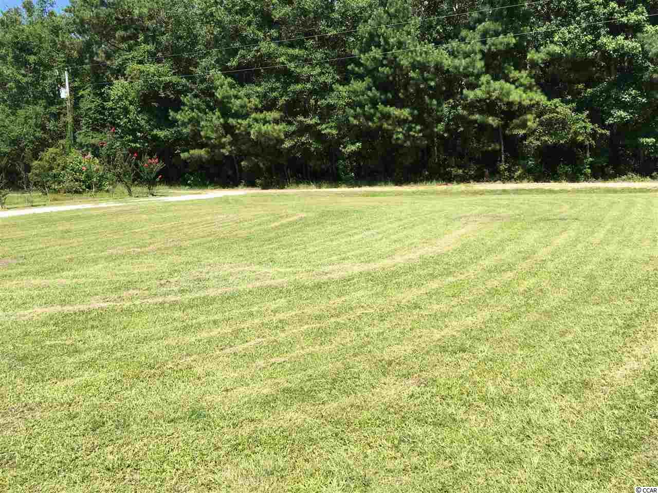 308 Parker Road Johnsonville, SC 29555 - Photo 8 of 39 Gallery Image 8