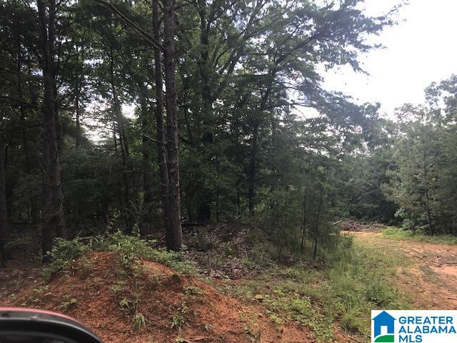 Mountain View Vance, AL 35490 - Photo 1 of 28