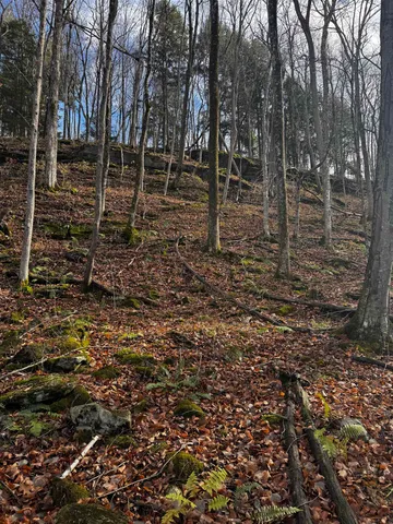 $375,000 | 452 Syndicate Road, Pittsford, VT 05733