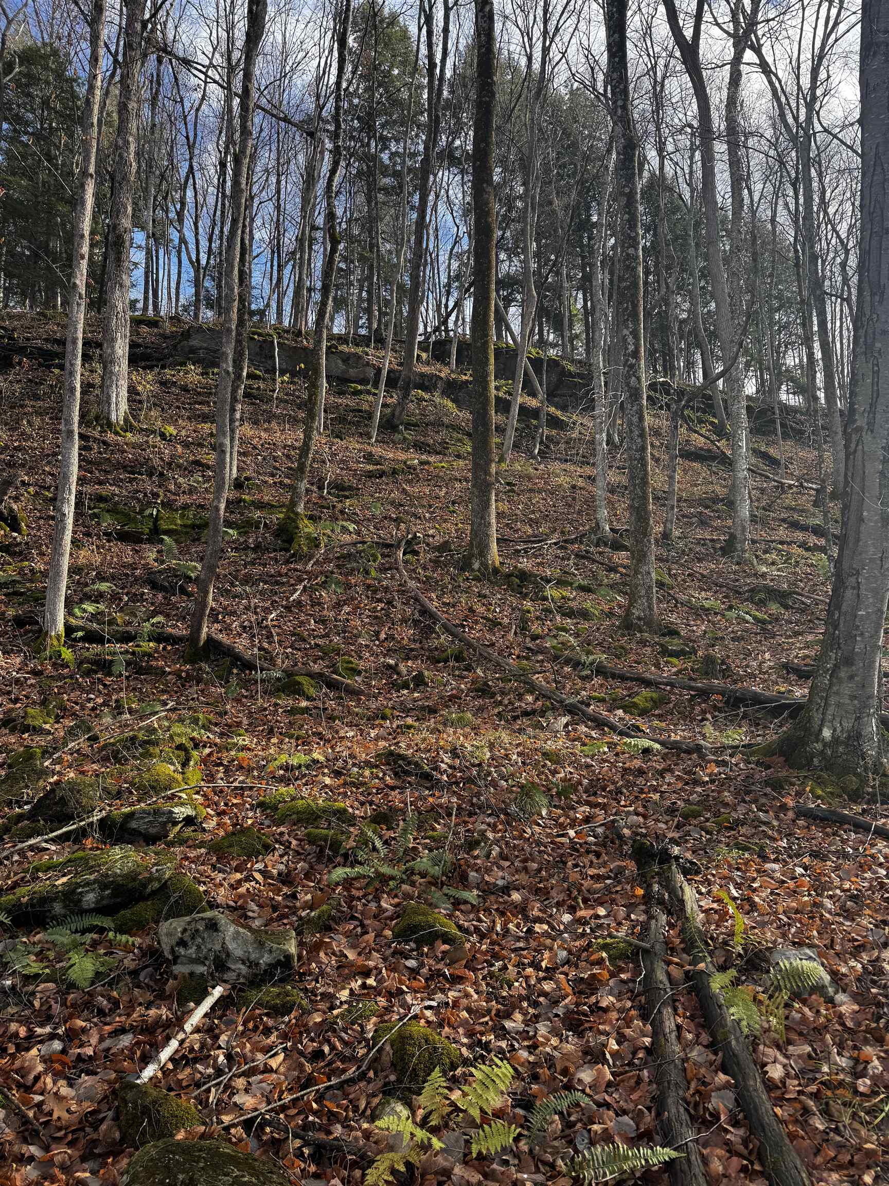 452 Syndicate Road Pittsford, VT 05733 - Photo 21 of 24