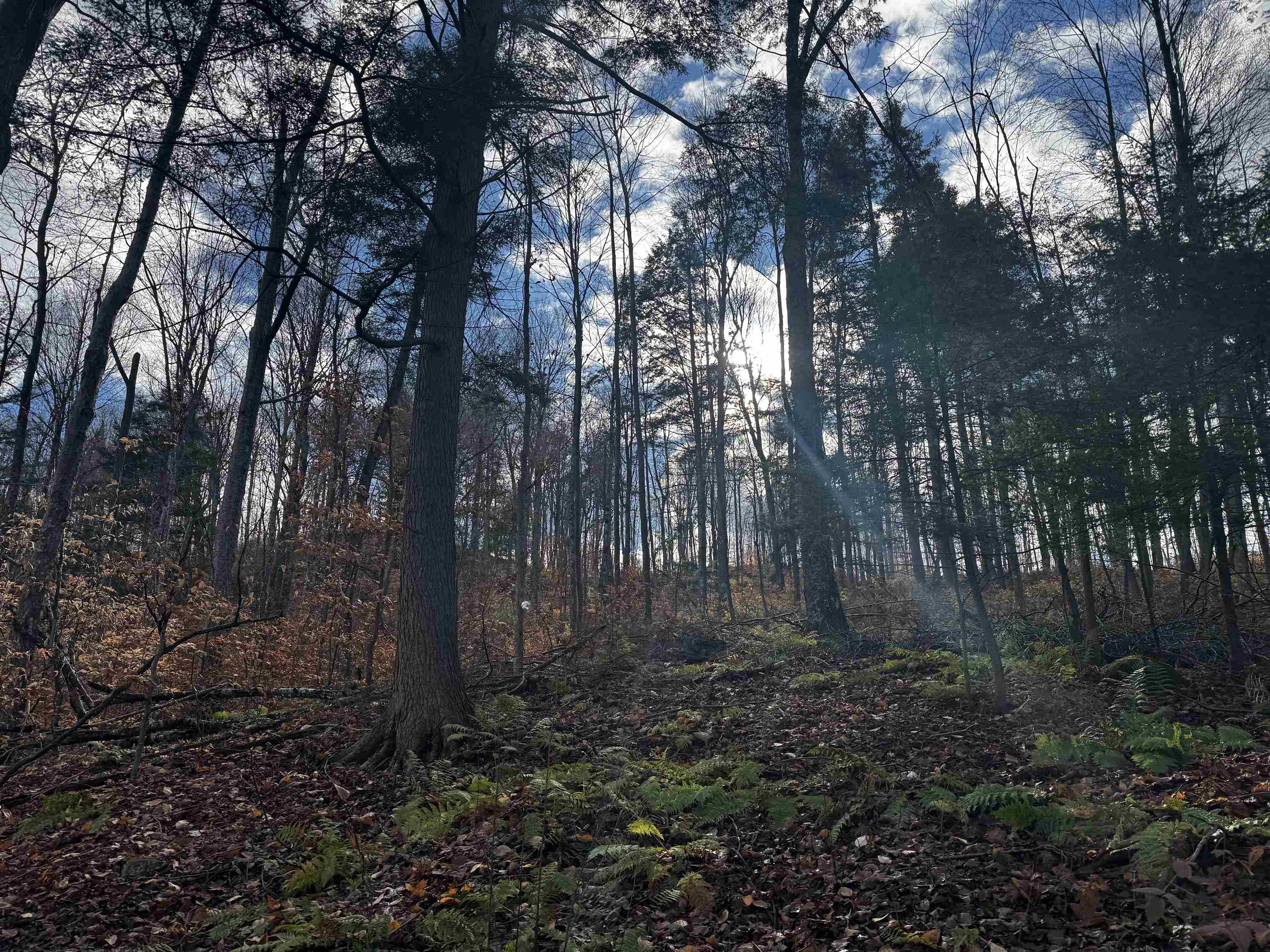 452 Syndicate Road Pittsford, VT 05733 - Photo 5 of 24