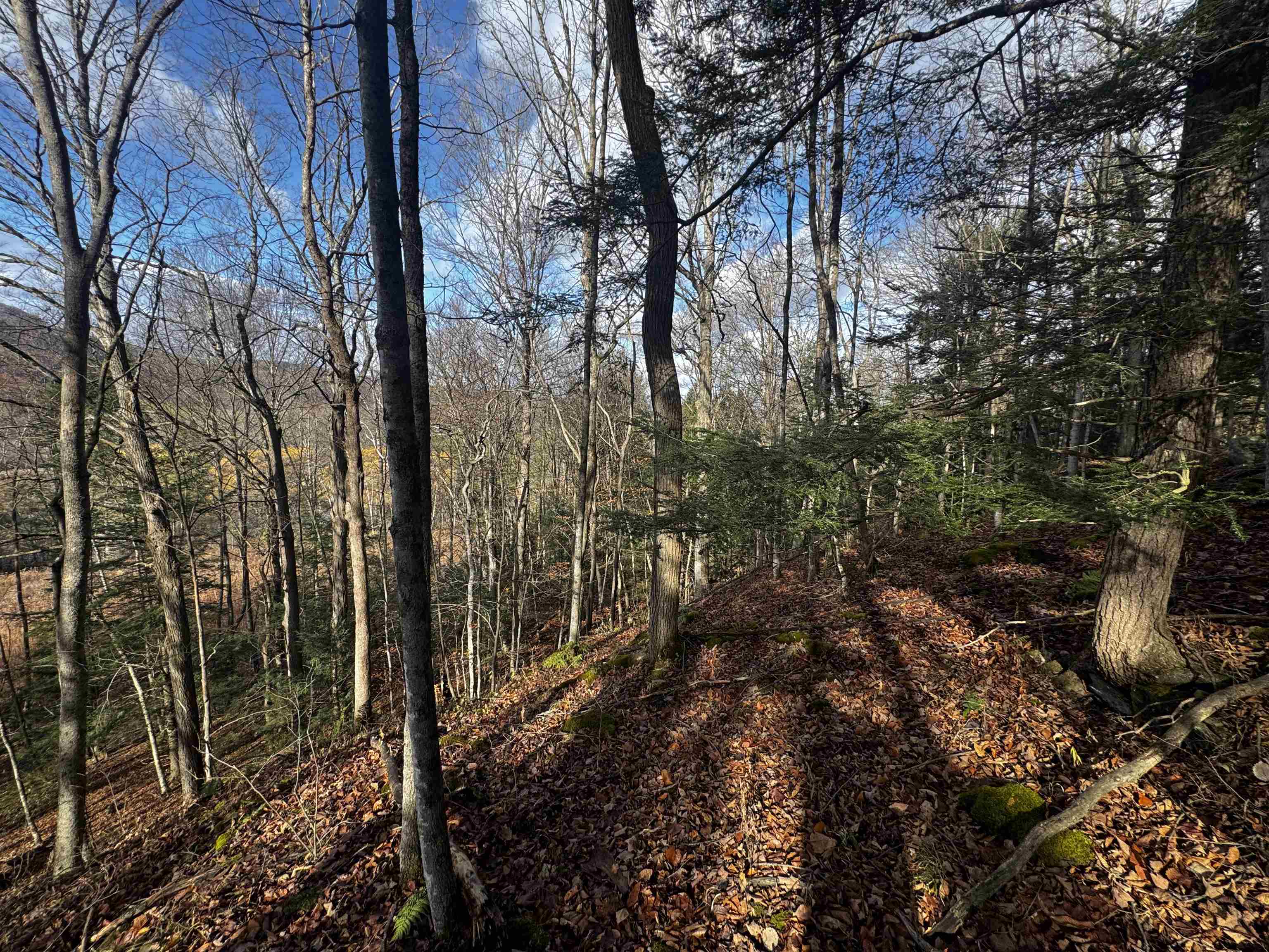 452 Syndicate Road Pittsford, VT 05733 - Photo 7 of 24