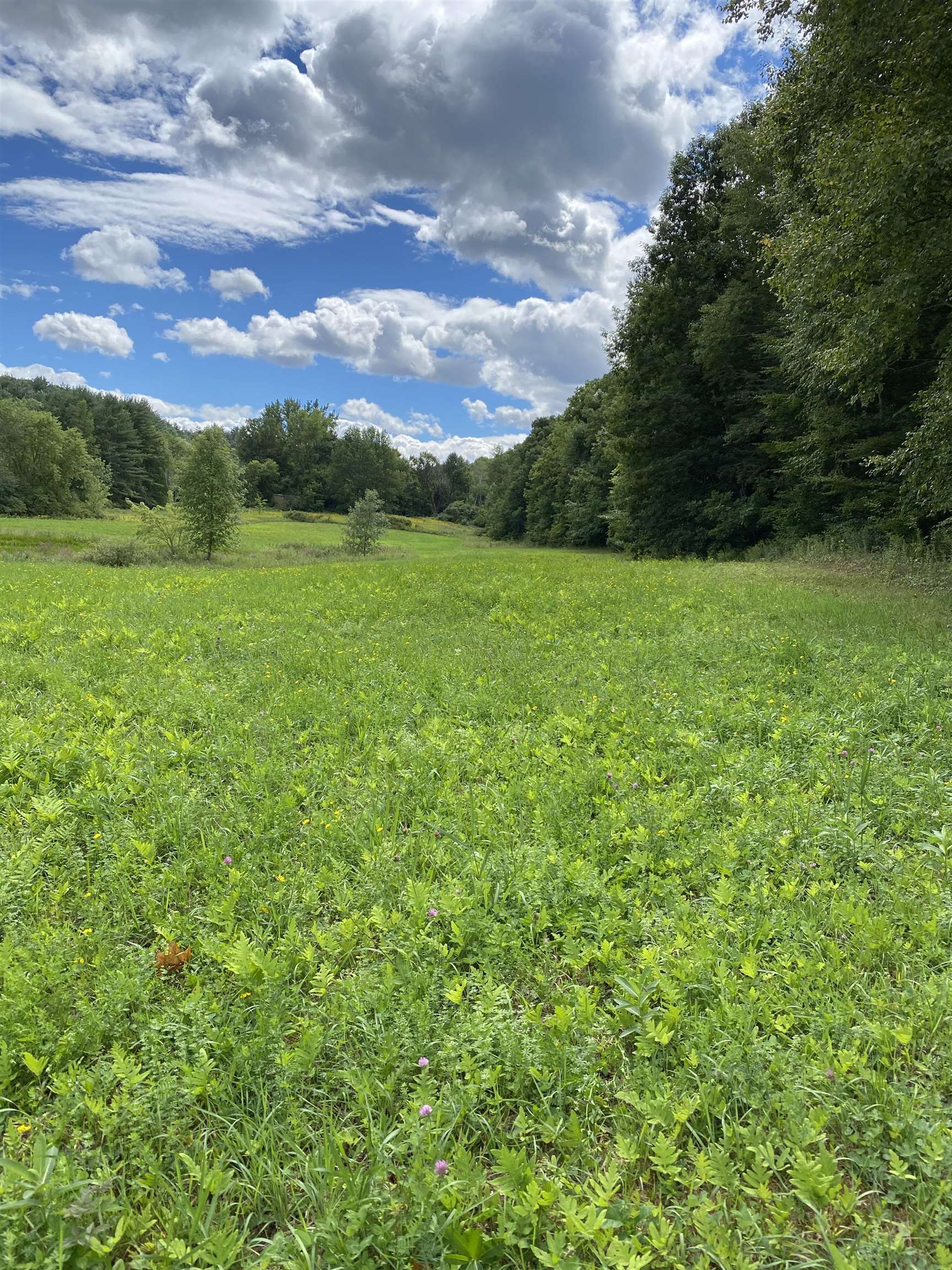 452 Syndicate Road Pittsford, VT 05733 - Photo 10 of 24
