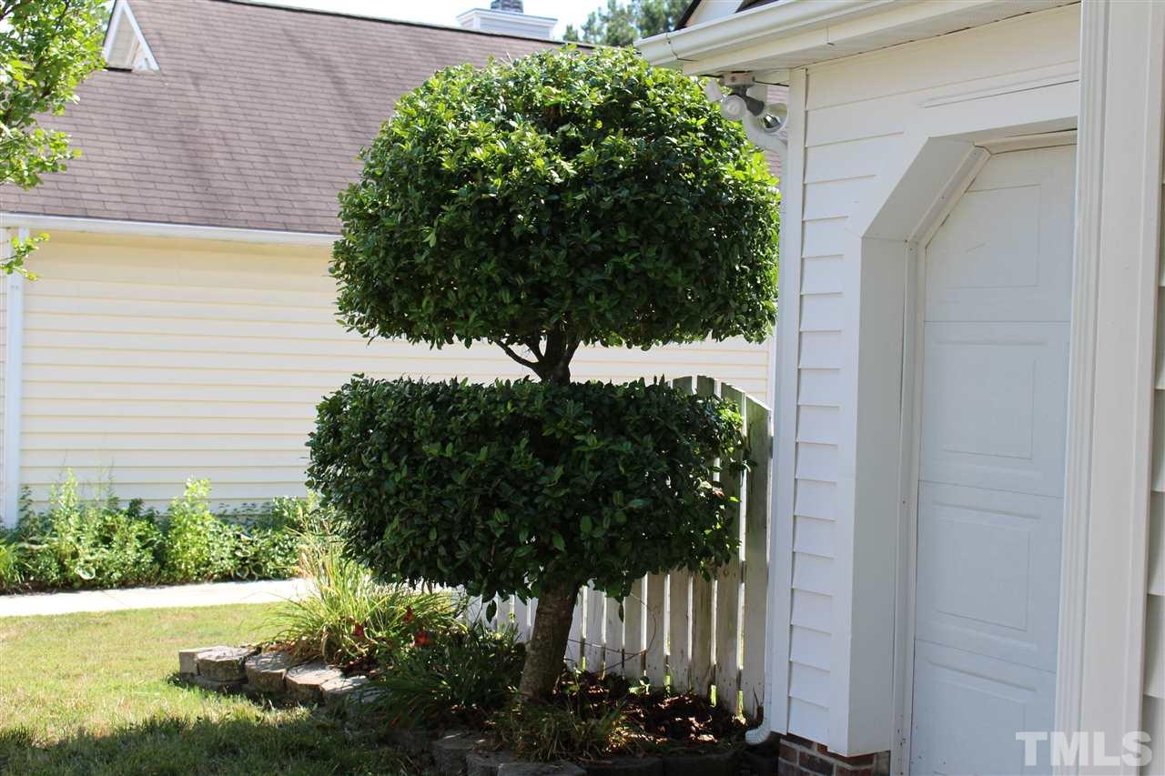5002 Gable Ridge Drive Durham, NC 27713 - Photo 12 of 16 a plant that is in front of a window
