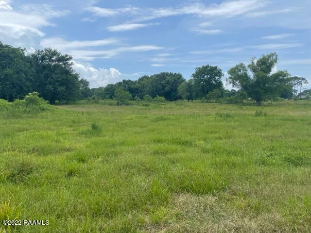 Tbd Estis Road New Iberia, LA 70560 - Photo 11 of 33 6