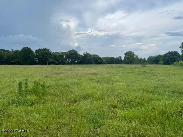 Tbd Estis Road New Iberia, LA 70560 - Photo 12 of 33 7