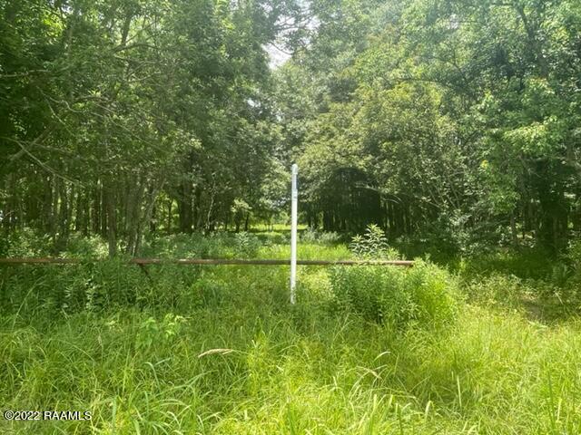 Tbd Estis Road New Iberia, LA 70560 - Photo 26 of 33 24