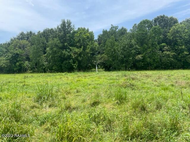 Tbd Estis Road New Iberia, LA 70560 - Photo 29 of 33 27