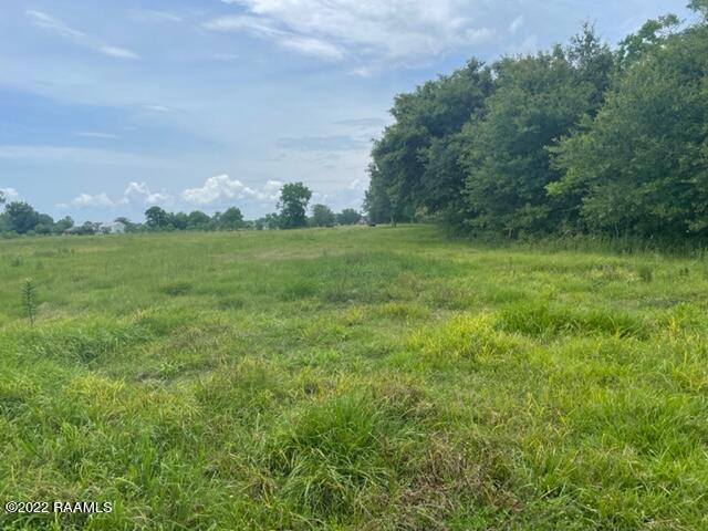 Tbd Estis Road New Iberia, LA 70560 - Photo 10 of 33 5