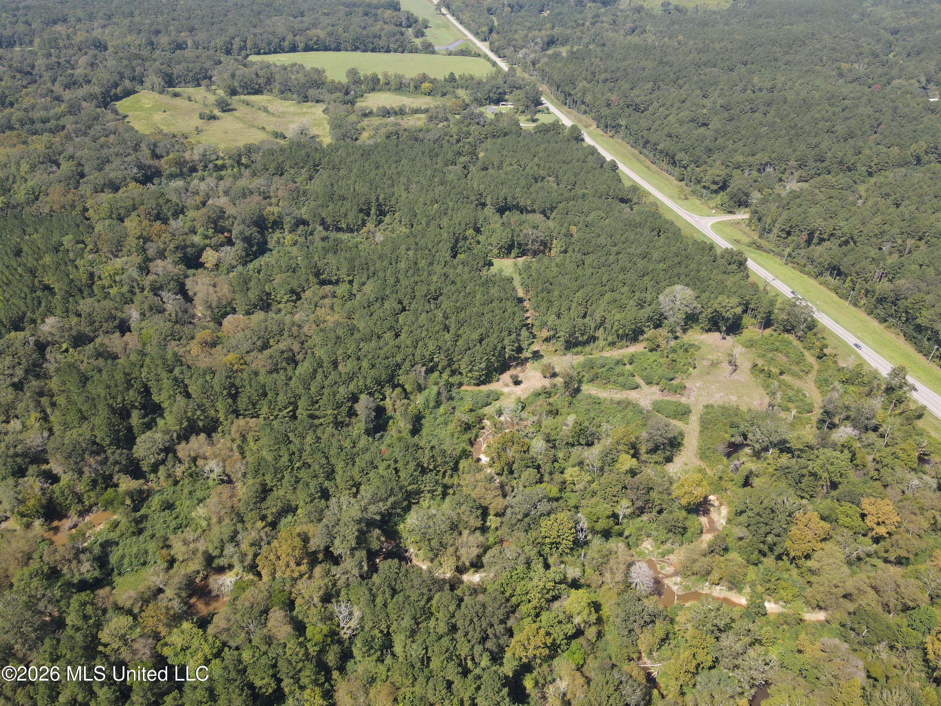 18 Mississippi Raleigh, MS 39153 - Photo 41 of 52 dji_fly_20260914_113536_279_178940387694