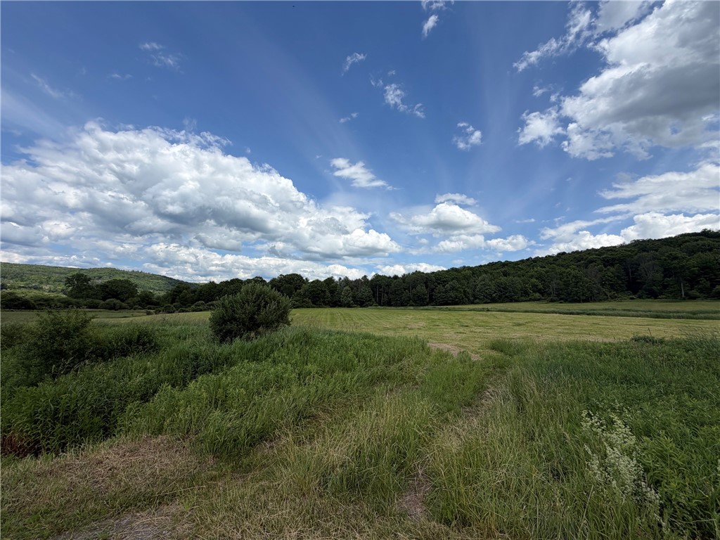 Lot 9 Summit Road Cuba, NY 14727 - Photo 10 of 22