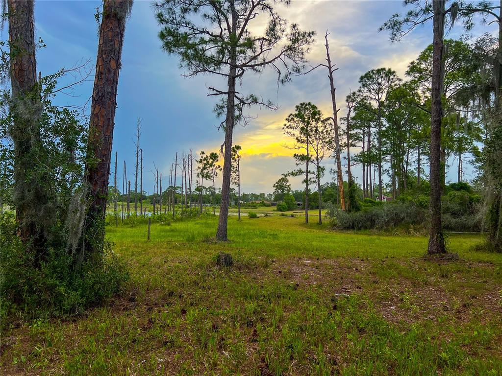 2332 Mitchell Island Road Deltona, FL 32738 - Photo 4 of 18