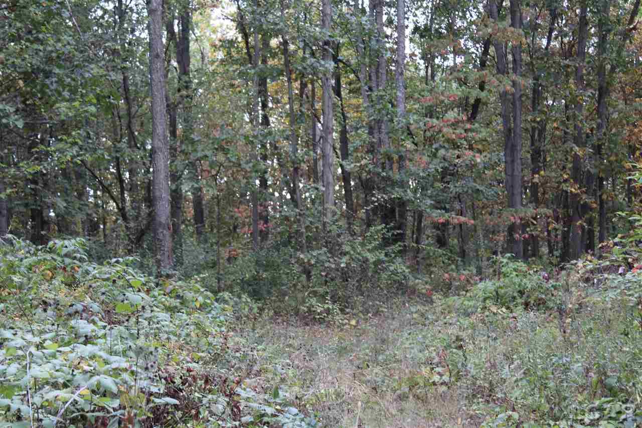 Cross Road Horton, MI 49246 - Photo 14 of 15