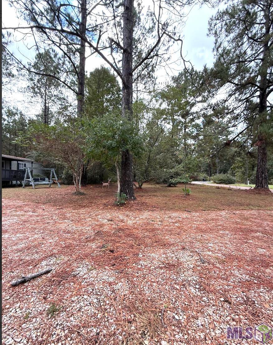 70354 Ravine Street Abita Springs, LA 70420 - Photo 2 of 13