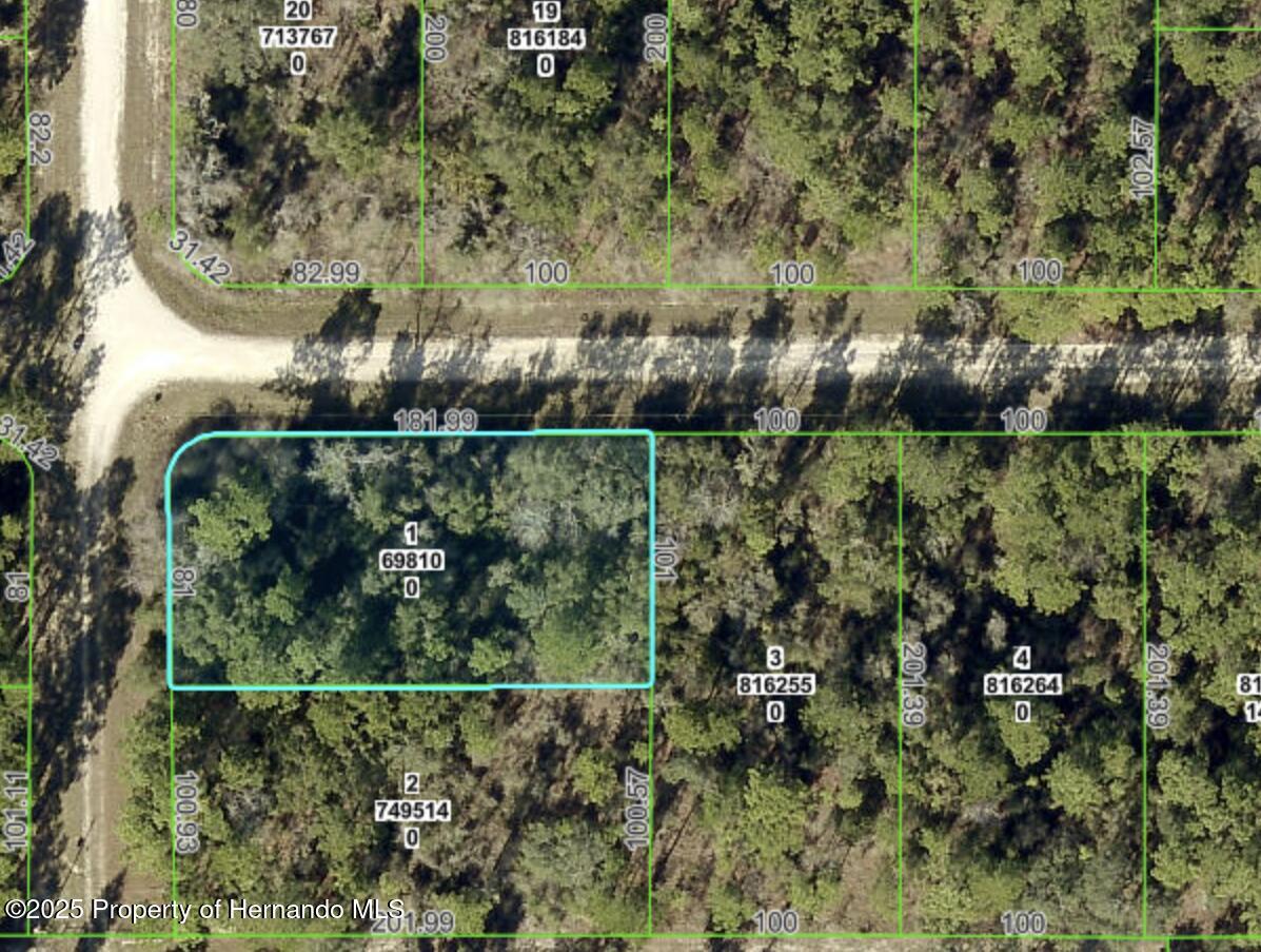 Lot 1 Canvasback Road Weeki Wachee, FL 34614 - Photo 1 of 11