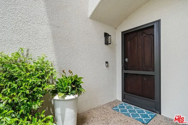 a potted plant sitting in front of a door