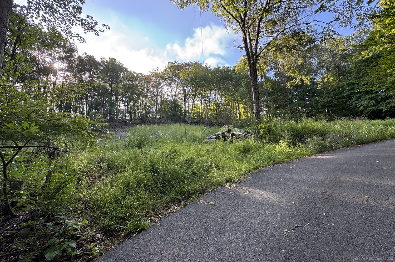 9 Read Place Wilton, CT 06897 - Photo 2 of 8 a view of a yard with plants and a large tree