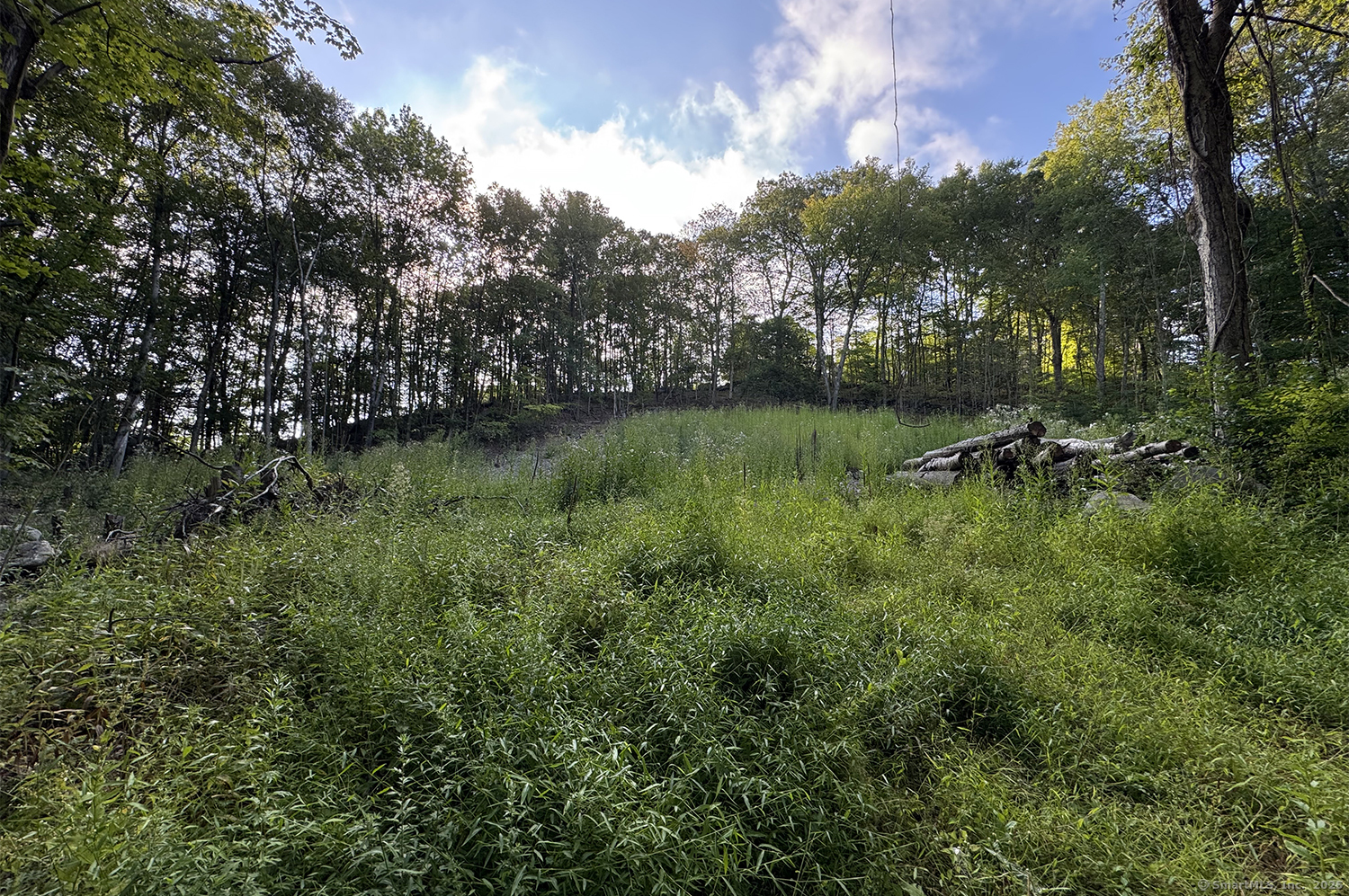 9 Read Place Wilton, CT 06897 - Photo 3 of 8 a view of a garden with a lake