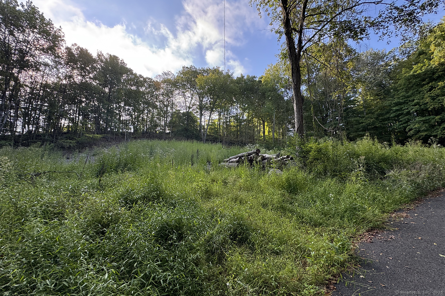 9 Read Place Wilton, CT 06897 - Photo 4 of 8 a view of a garden with a tree