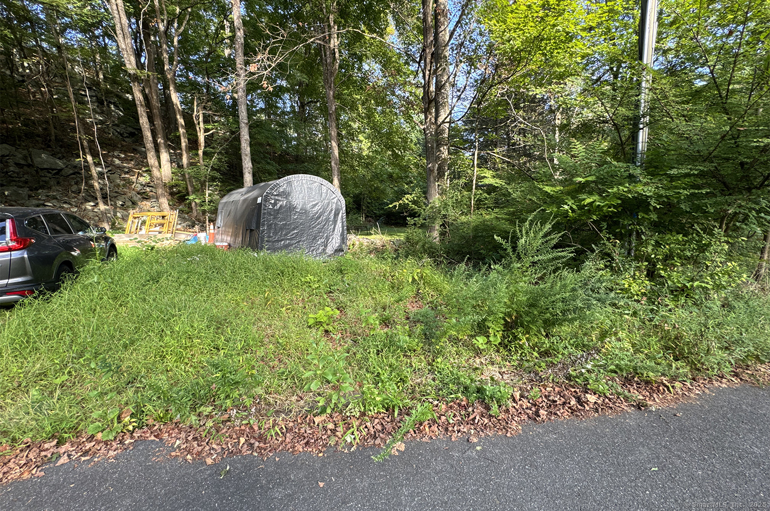 9 Read Place Wilton, CT 06897 - Photo 6 of 8 a view of a garden with plants and large trees