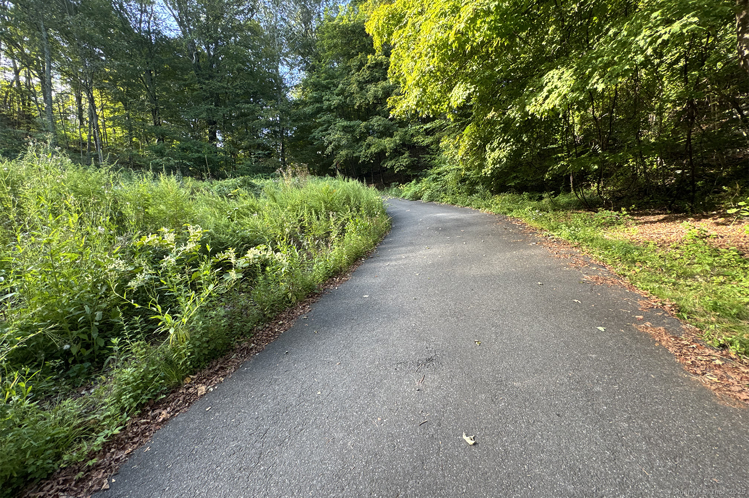 9 Read Place Wilton, CT 06897 - Photo 7 of 8 a view of a garden with plants