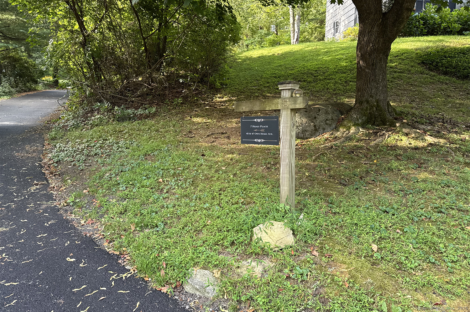 9 Read Place Wilton, CT 06897 - Photo 8 of 8 a view of a trees with yard
