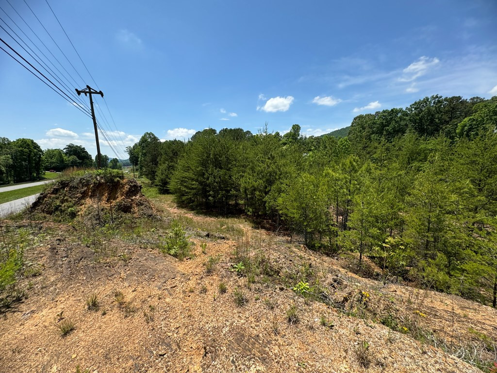 0 West U.S. Highway 64 Murphy, NC 28906 - Photo 18 of 21