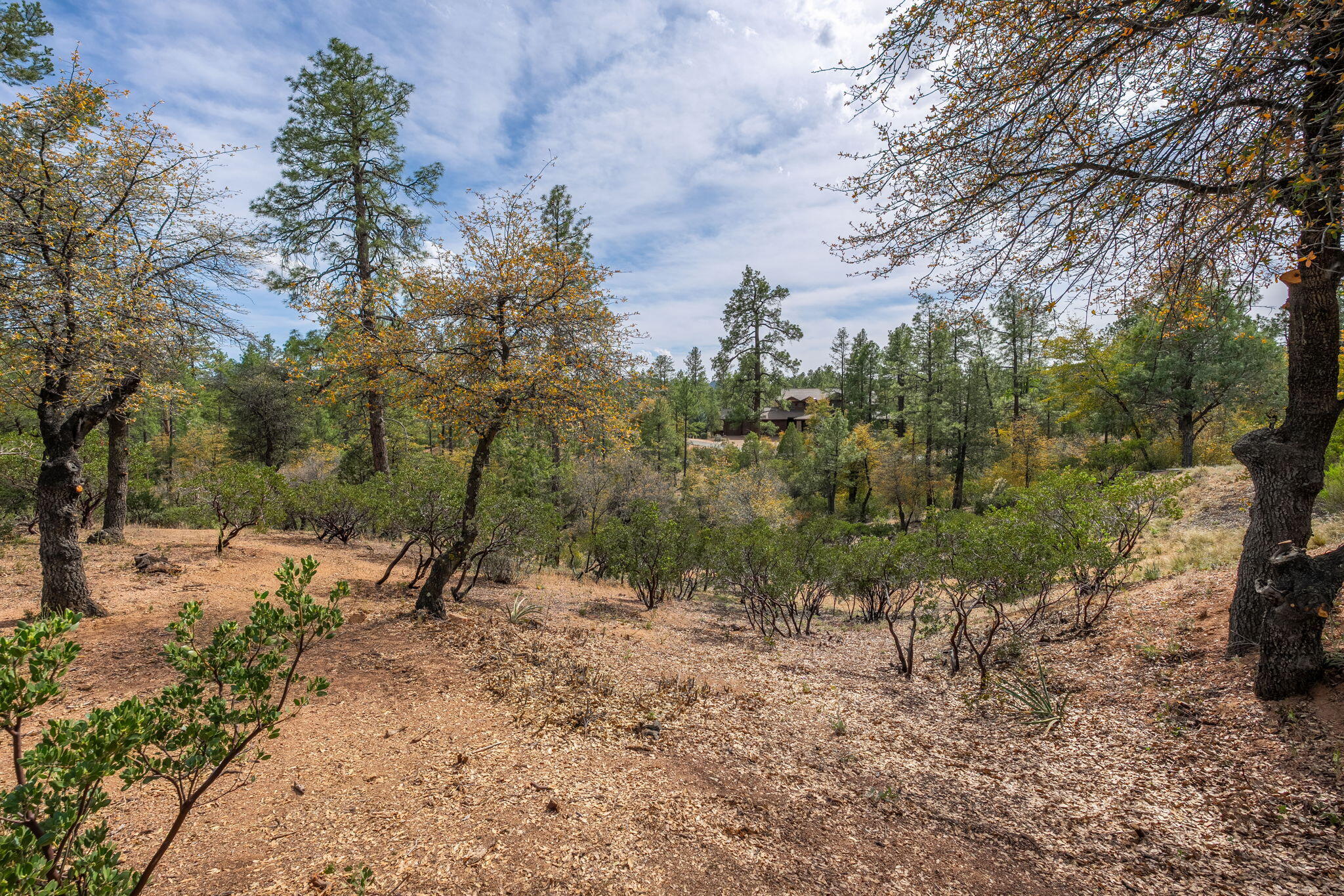 3010 East Arrow Point Payson, AZ 85541 - Photo 6 of 23