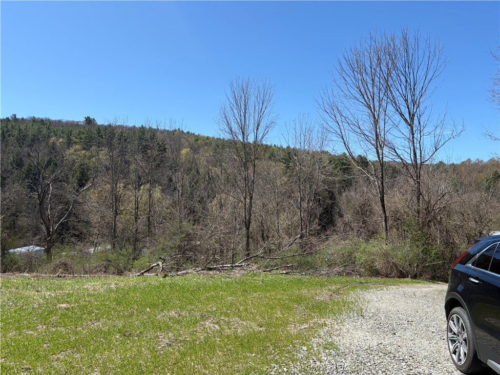 46 County Road Norwich, NY 13815 - Photo 14 of 17