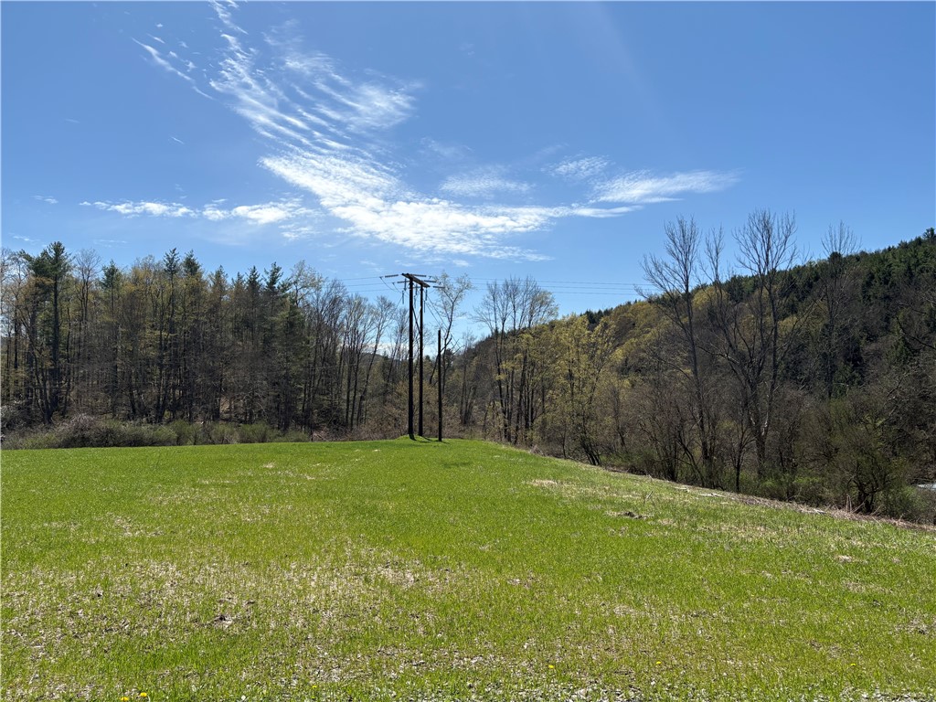 46 County Road Norwich, NY 13815 - Photo 15 of 17