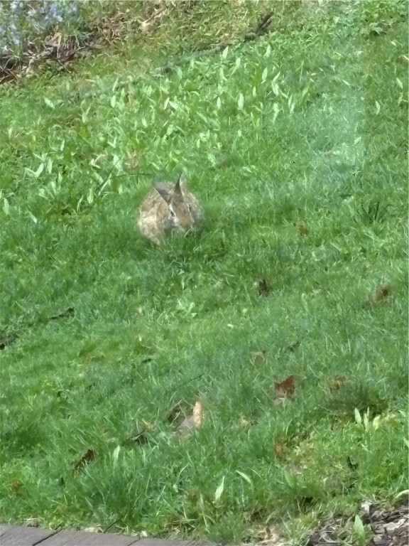 46 County Road Norwich, NY 13815 - Photo 17 of 17