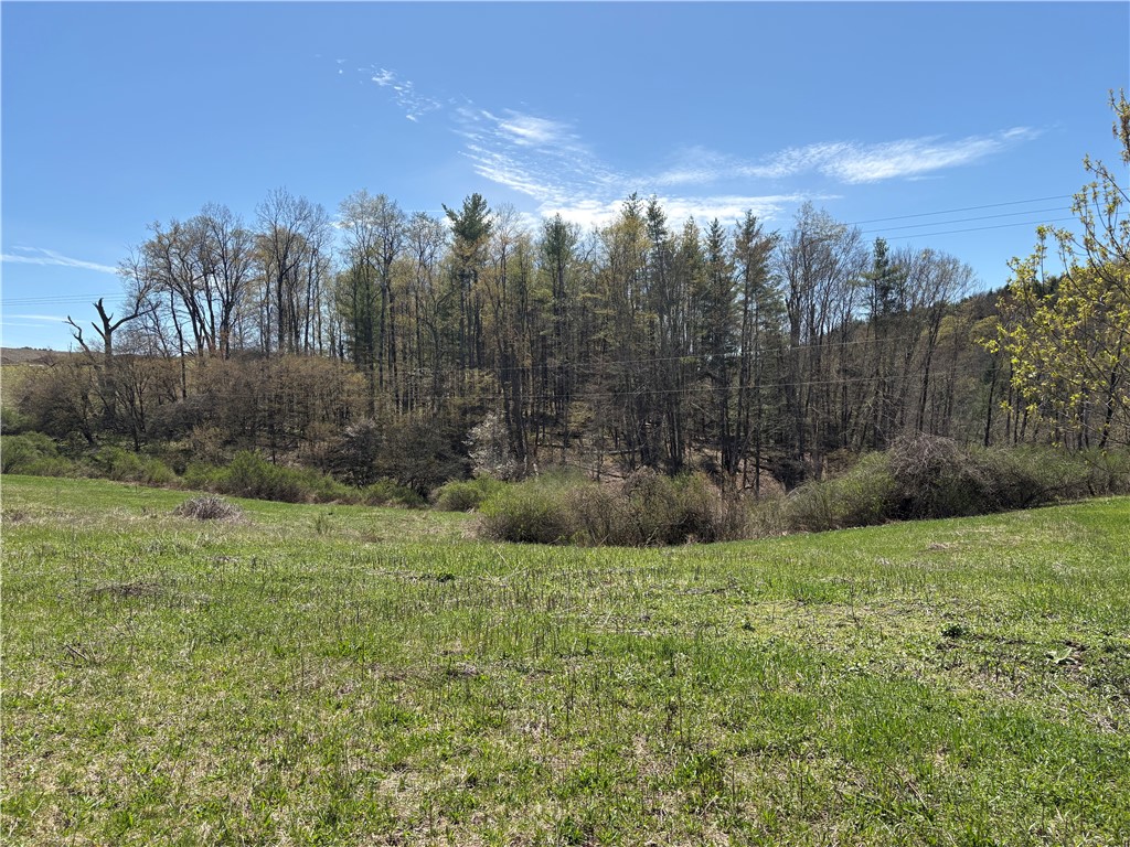 46 County Road Norwich, NY 13815 - Photo 4 of 17