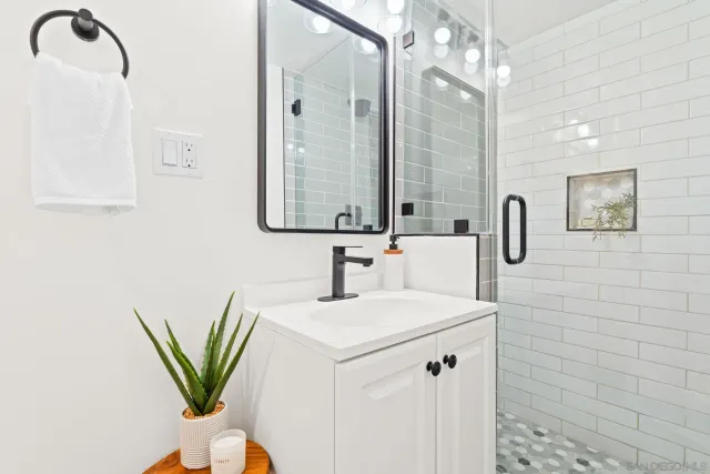 a bathroom with a sink a mirror and a potted plant