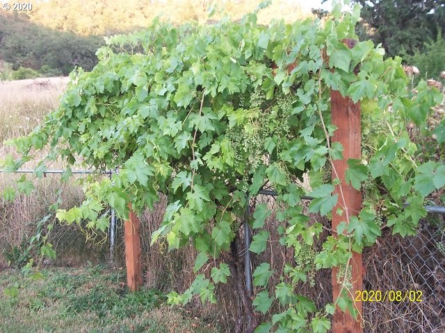 1175 Northeast Rifle Range Street Roseburg, OR 97470 - Photo 26 of 28 Gallery Image 26