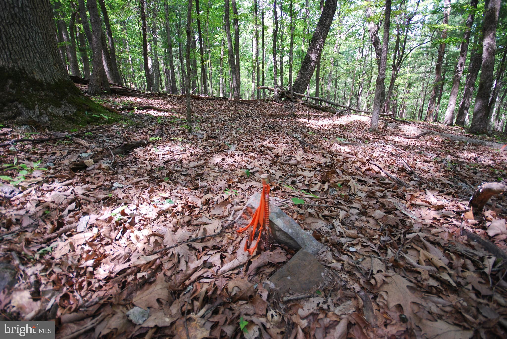 Lot 67 Mill Mountain Road Romney, WV 26757 - Photo 7 of 40