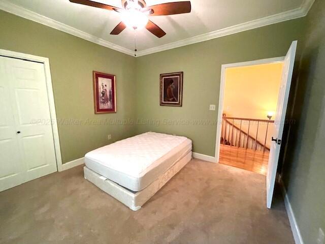 330 Pine Road Sulligent, AL 35586 - Photo 30 of 46 38