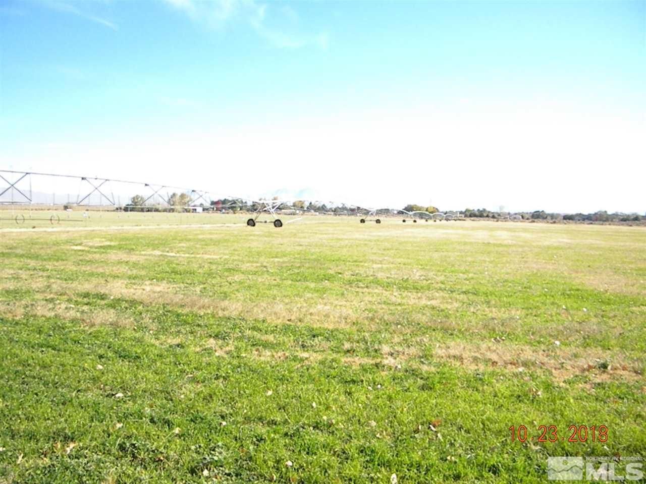 300 Lower Colony Road Wellington, NV 89444 - Photo 1 of 1 Photo 1