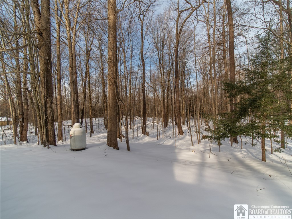 6353 Sherman-Westfield Road Westfield, NY 14787 - Photo 14 of 29