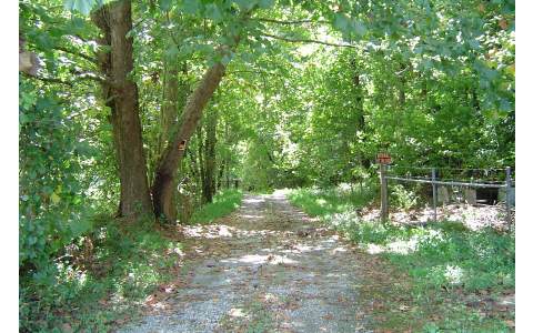 5 Yukon Road Ellijay, GA 30536 - Photo 1 of 1 a view of a yard with large trees