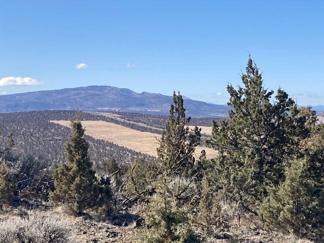 20 Northwest Meyers Butte Road Powell Butte, OR 97753 - Photo 2 of 54 24