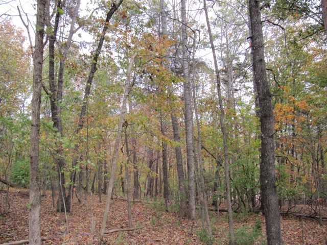 0 Calhoun Road, Unit 13 Dahlonega, GA 30533 - Photo 1 of 1 Gallery Image 1