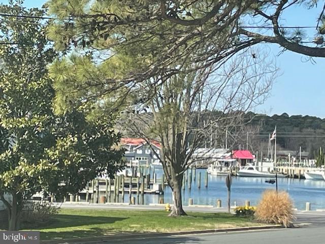 303 Manor Street St. Michaels, MD 21663 - Photo 3 of 100