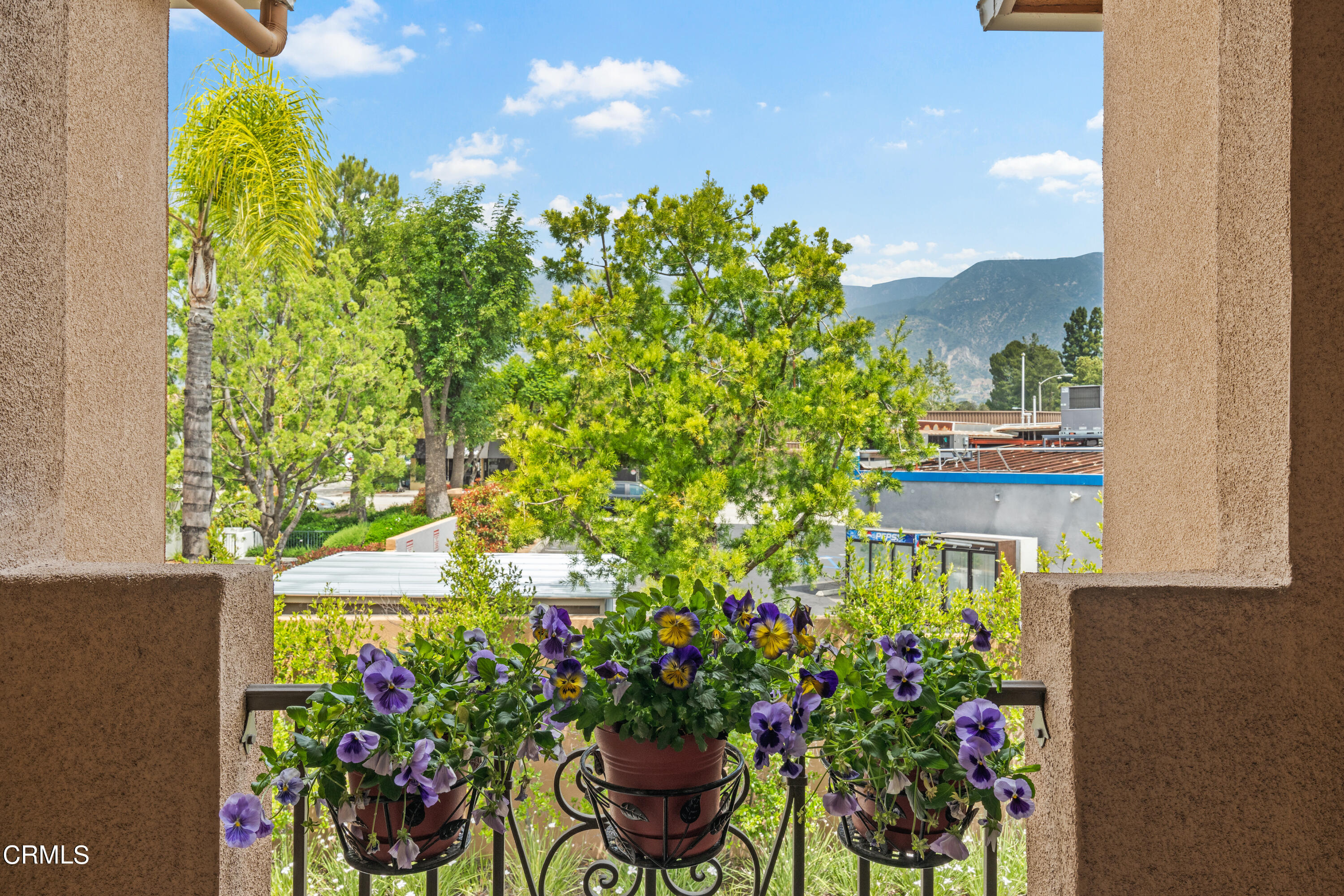 453 North Altadena Drive, Unit 5 Pasadena, CA 91107 - Photo 15 of 36 a view of a flower in a garden