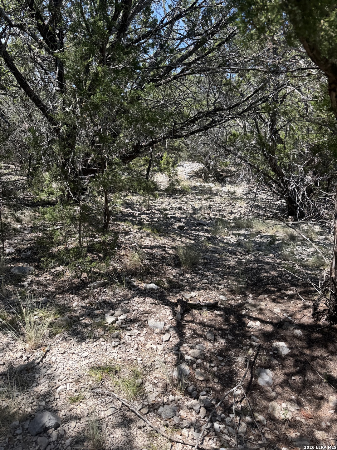 74100 SD 74100 Rocksprings, TX 78880 - Photo 23 of 28 Gallery Image 23