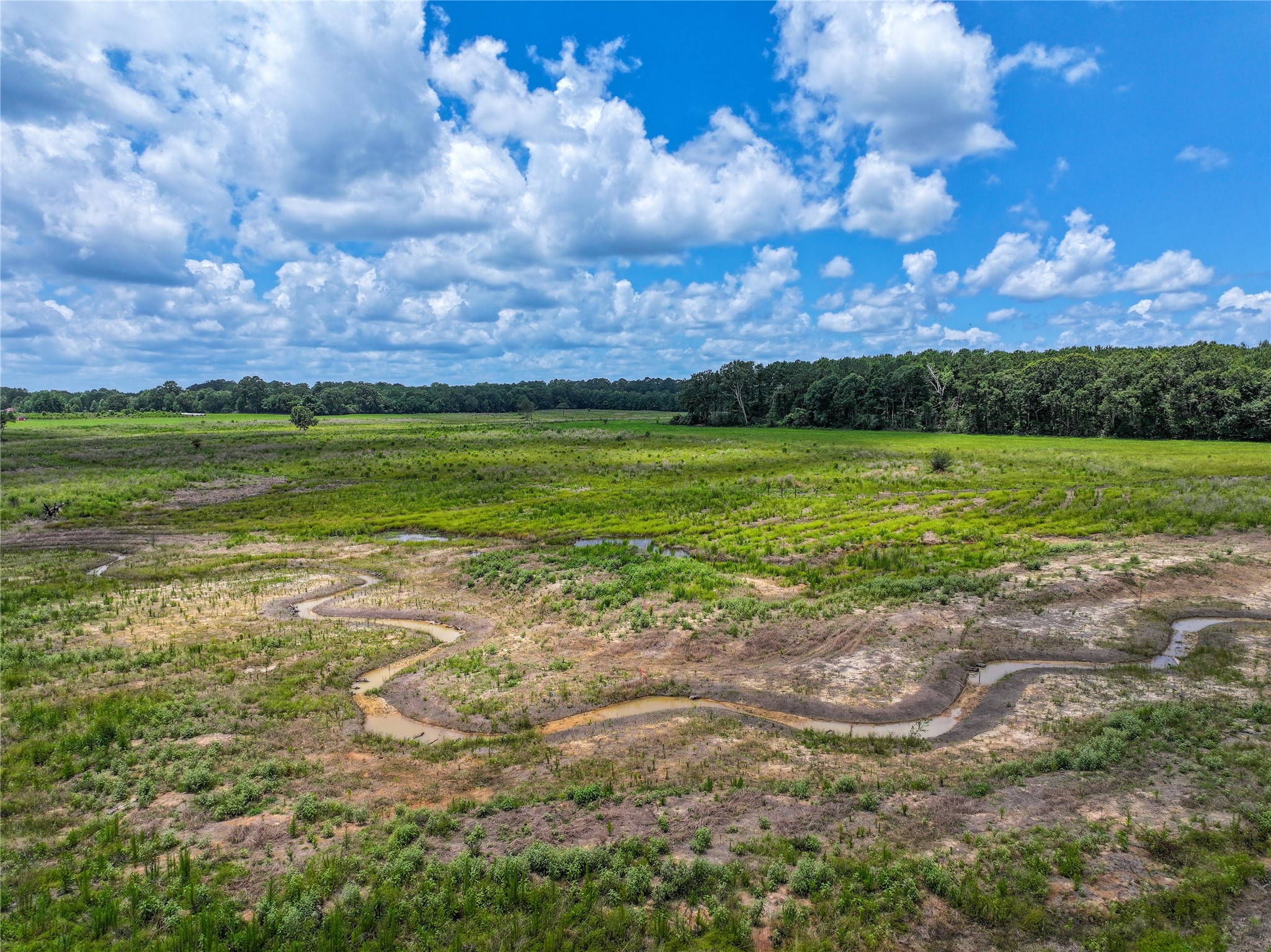 0 County Road 547 Call, TX 75933 - Photo 17 of 26