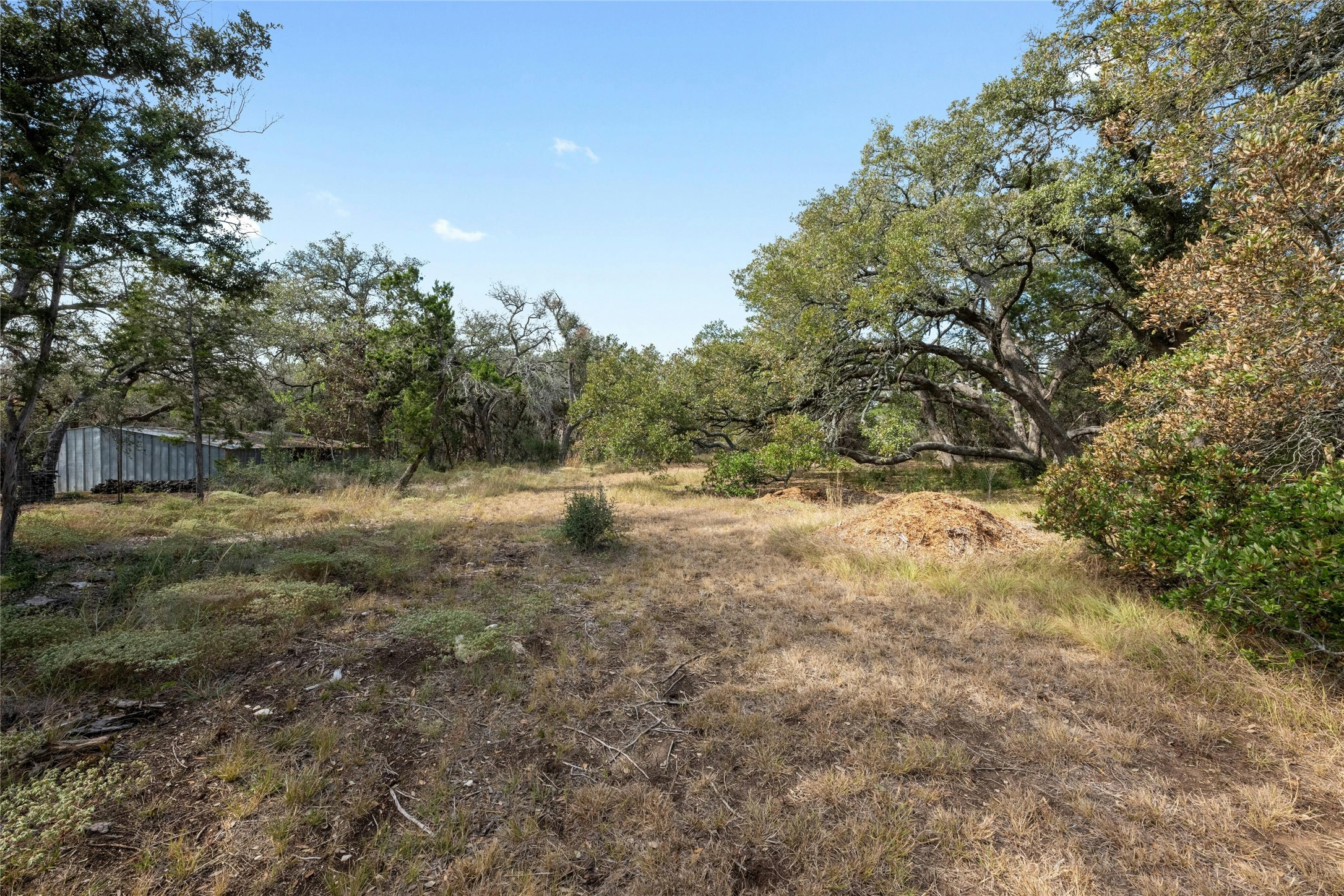 200 Ted Burger Road Dripping Springs, TX 78620 - Photo 11 of 11 a view of outdoor space with trees