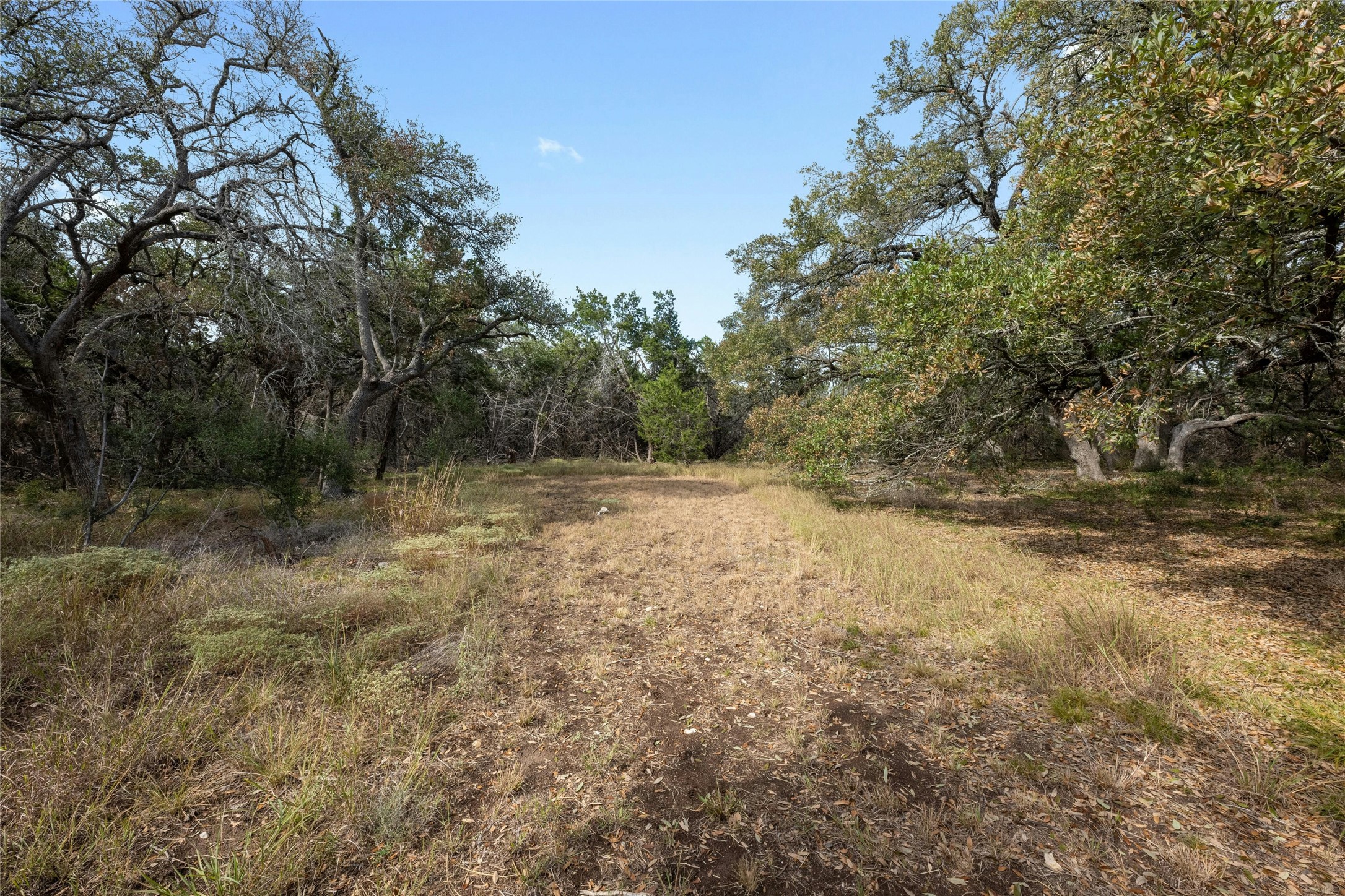 200 Ted Burger Road Dripping Springs, TX 78620 - Photo 4 of 11 a view of outdoor space and yard